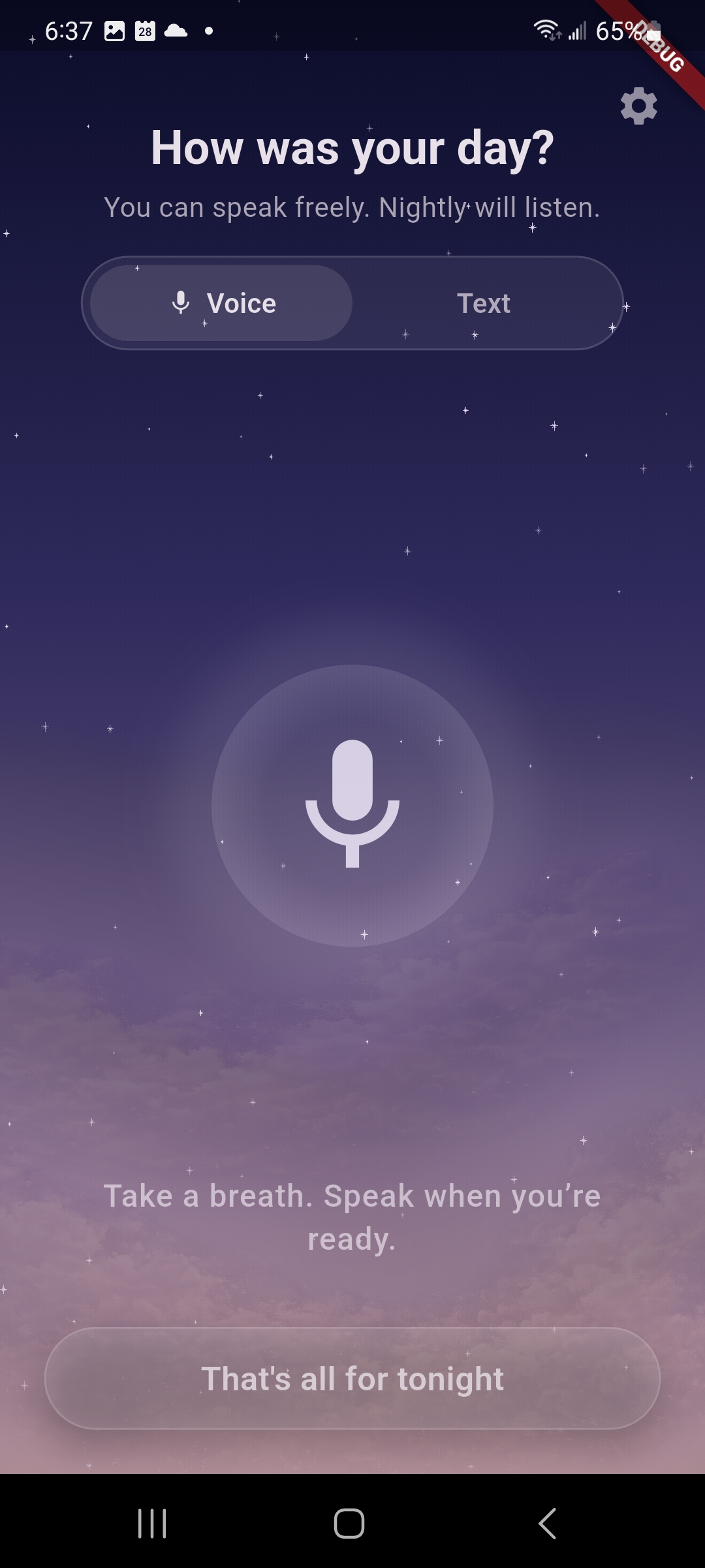 Nightly voice reflection screen